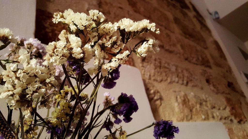 B&B Cinisi Vacanze Εξωτερικό φωτογραφία